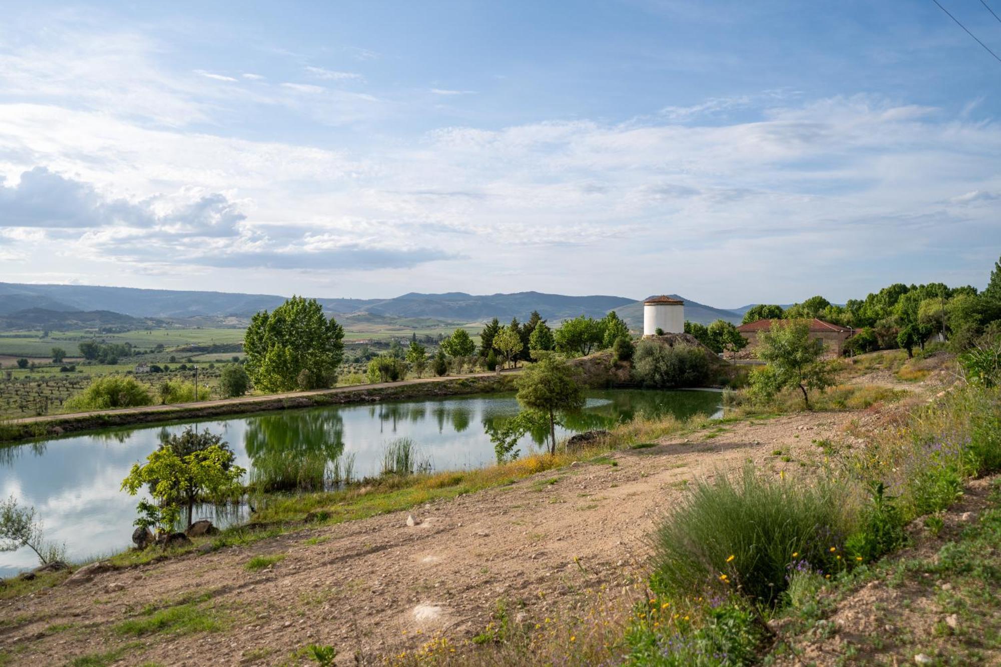 Quinta Da Terrincha Pensionat Torre De Moncorvo Exteriör bild