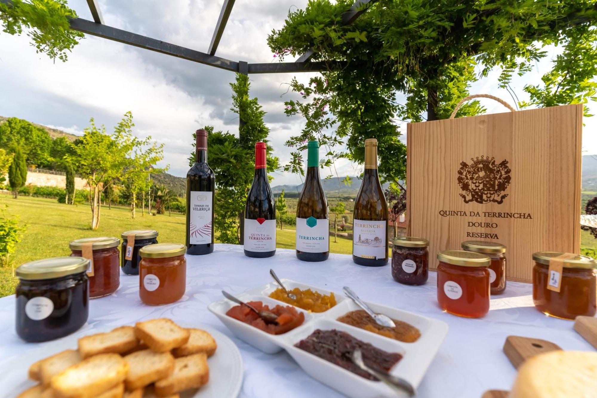 Quinta Da Terrincha Pensionat Torre De Moncorvo Exteriör bild