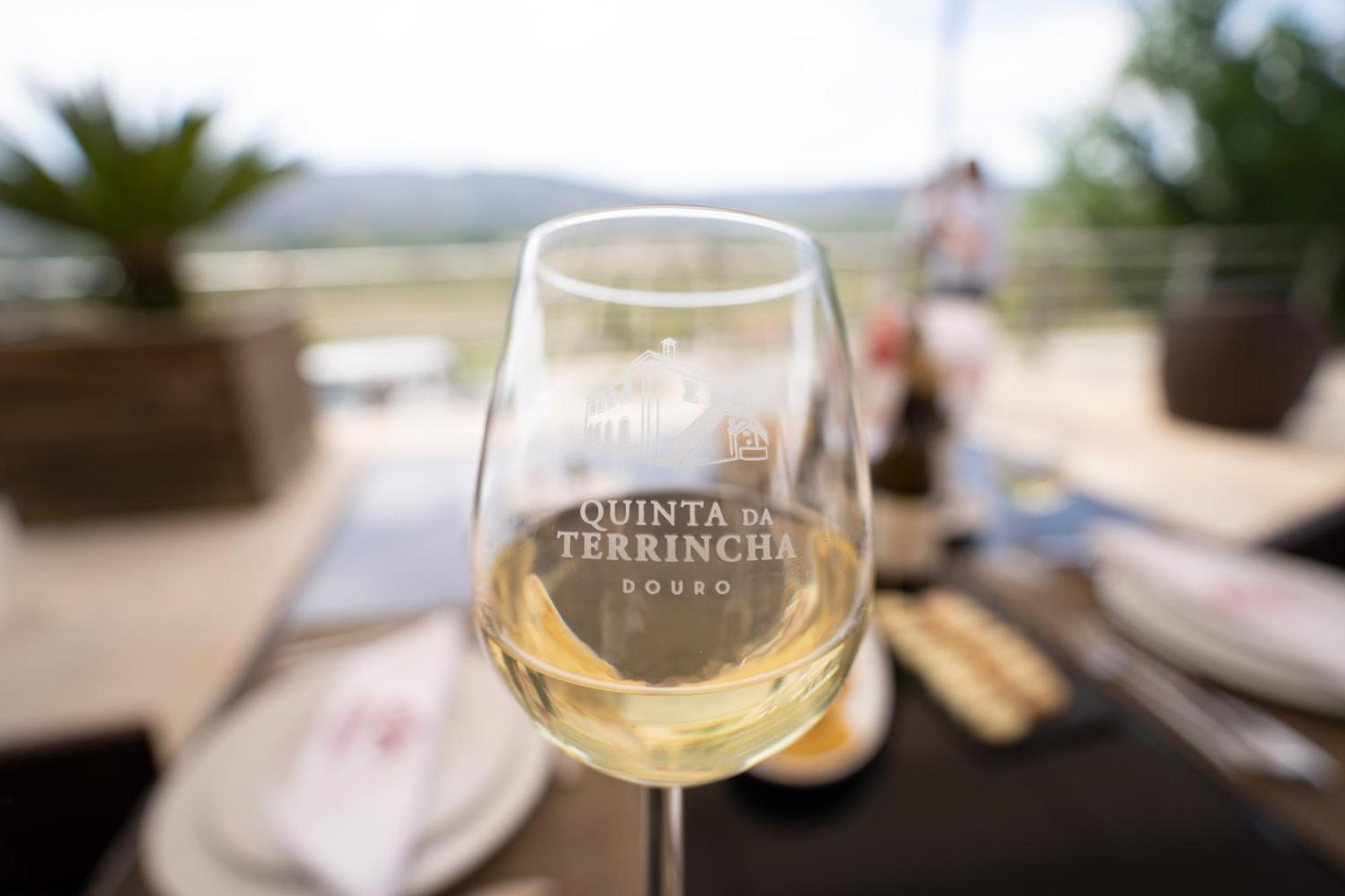 Quinta Da Terrincha Pensionat Torre De Moncorvo Exteriör bild