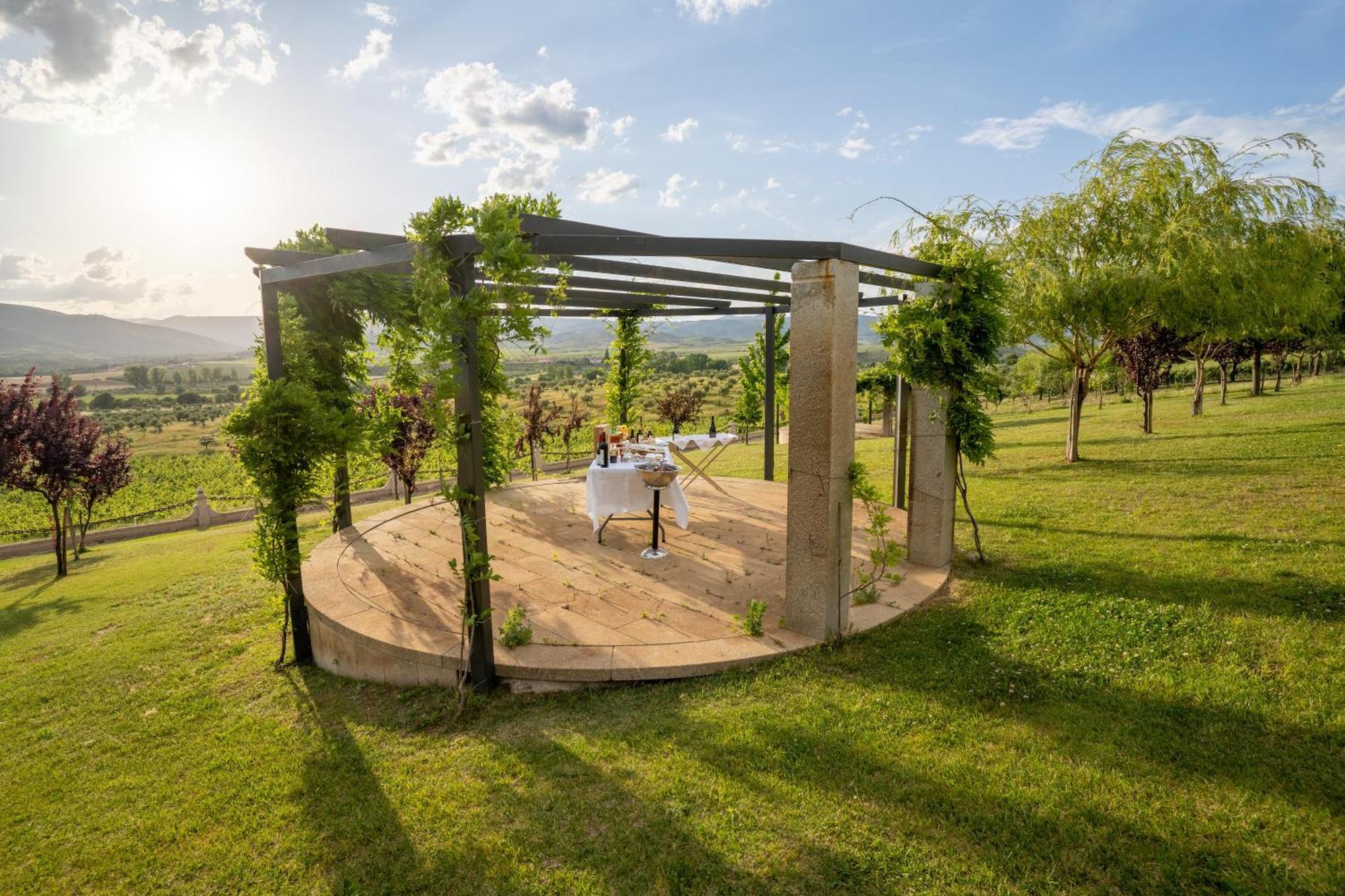 Quinta Da Terrincha Pensionat Torre De Moncorvo Exteriör bild