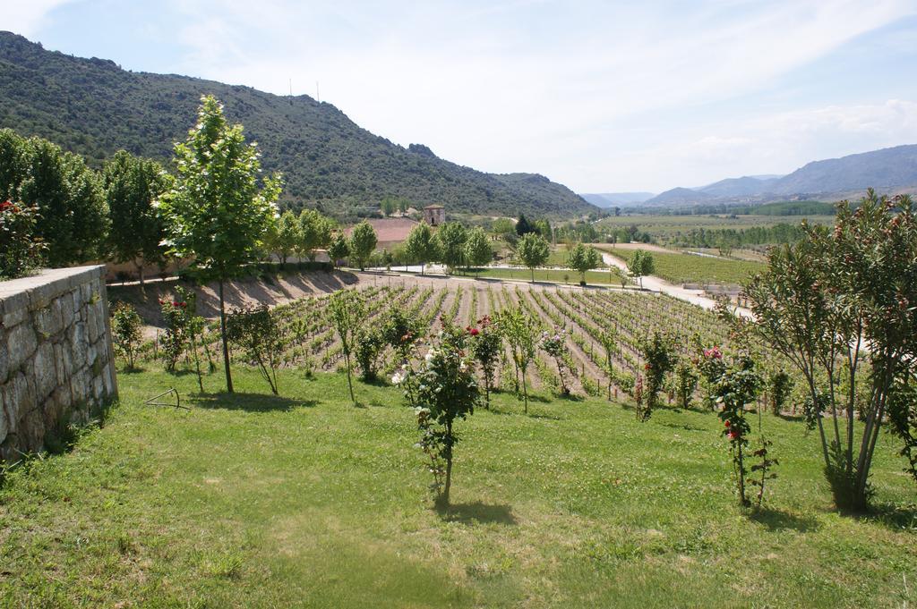 Quinta Da Terrincha Pensionat Torre De Moncorvo Exteriör bild