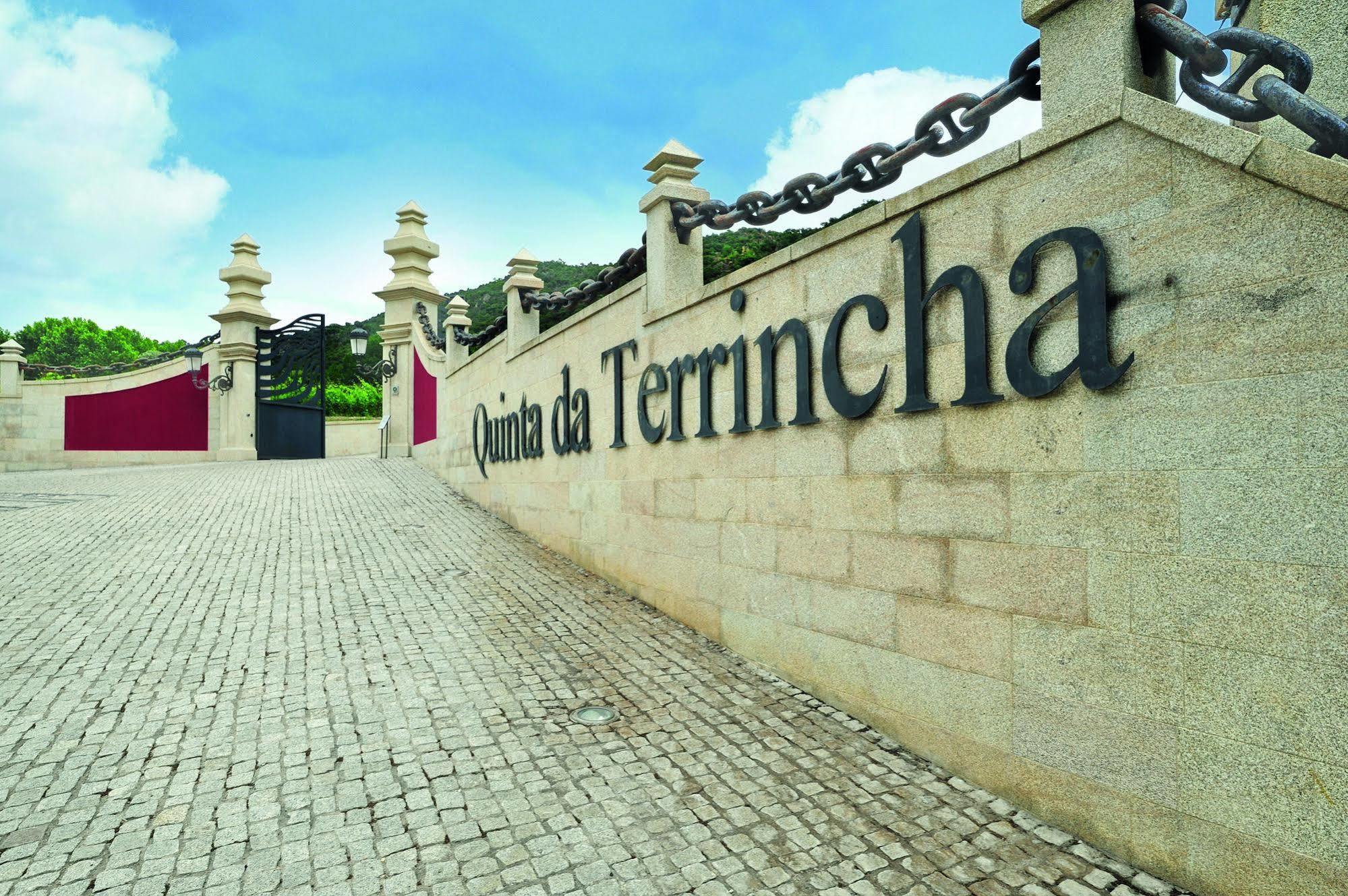 Quinta Da Terrincha Pensionat Torre De Moncorvo Exteriör bild